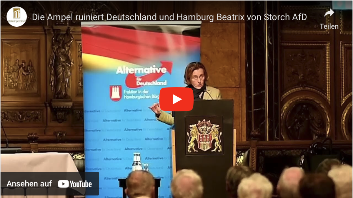 Die Ampel ruiniert Deutschland und Hamburg Beatrix von Storch AfD