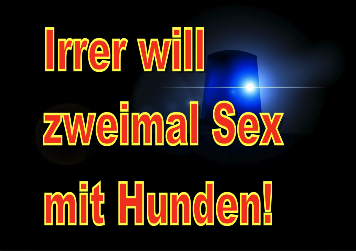 Ranstadt und Langgöns: Irrer will zweimal Sex mit Hunden!