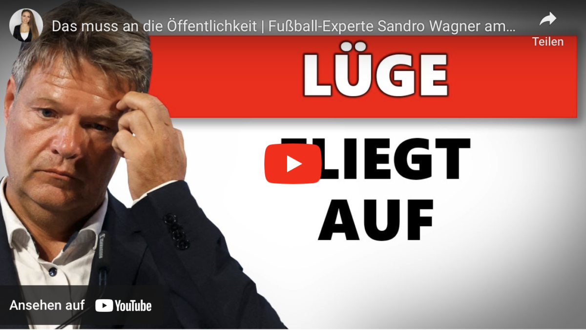 Das muss an die Öffentlichkeit | Fußball-Experte Sandro Wagner am Pranger