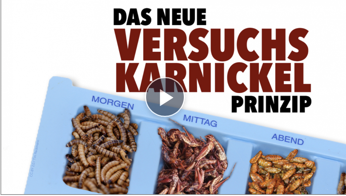 Das neue Versuchskarnickel-Prinzip
