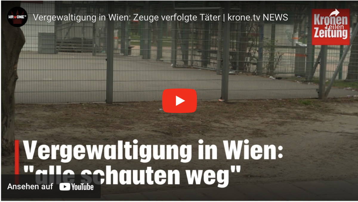 Vergewaltigung in Wien: Zeuge verfolgte Täter