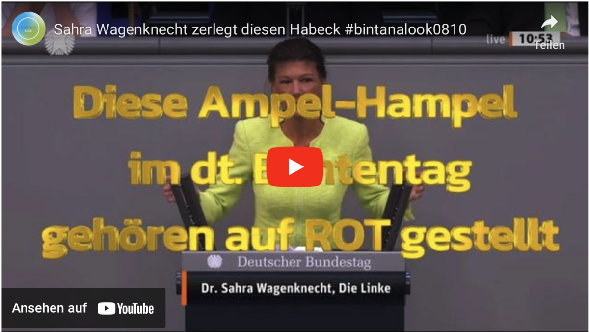 Sahra Wagenknecht zerlegt diesen Habeck #bintanalook0810