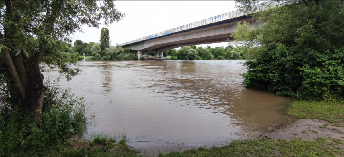 Frau auf Feldweg bei Flörsheim geschlagen!
