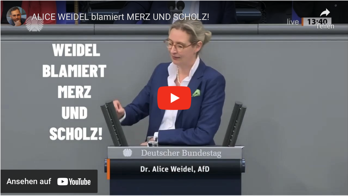 ALICE WEIDEL blamiert MERZ UND SCHOLZ!