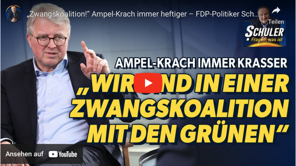 „Zwangskoalition!“ Ampel-Krach immer heftiger – FDP-Politiker Schäffler packt aus