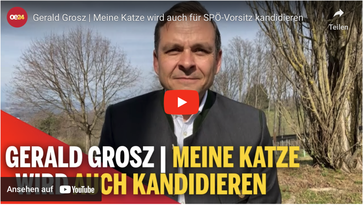 Meine Katze wird auch für SPÖ-Vorsitz kandidieren!