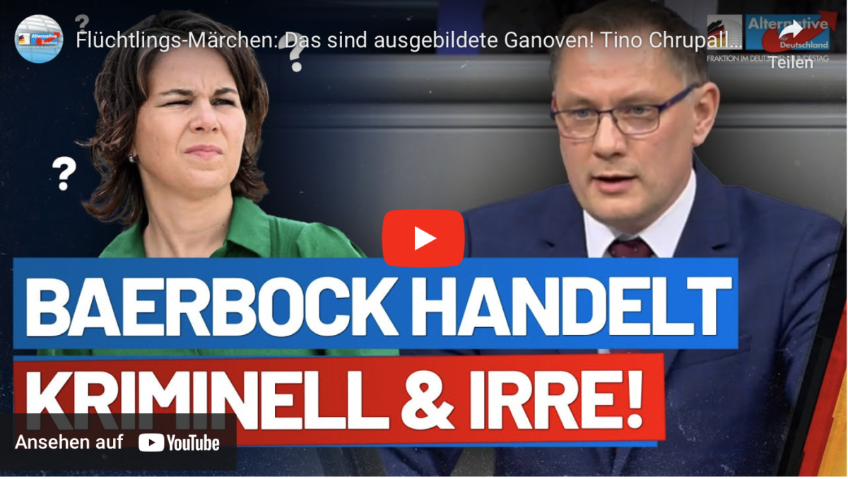 Flüchtlings-Märchen: Das sind ausgebildete Ganoven! Tino Chrupalla – AfD-Fraktion im Bundestag