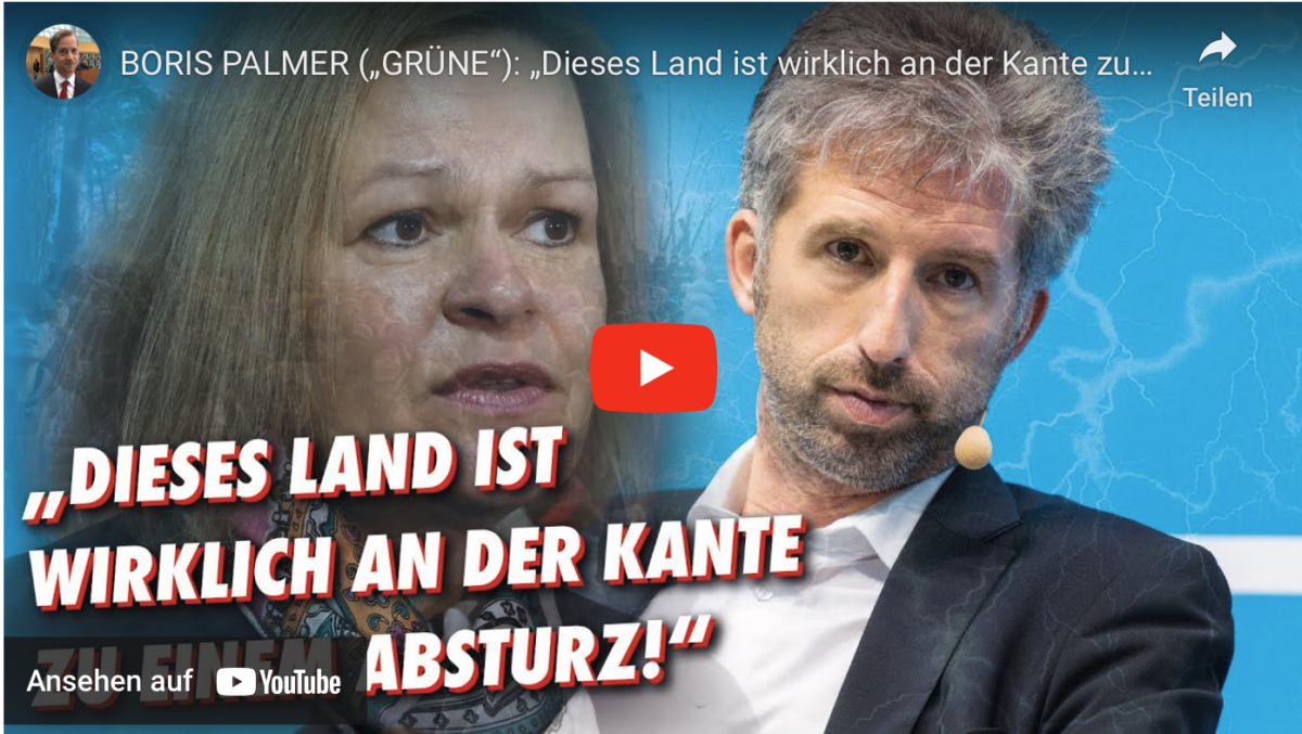 BORIS PALMER („GRÜNE“): „Dieses Land ist wirklich an der Kante zu einem Absturz!“