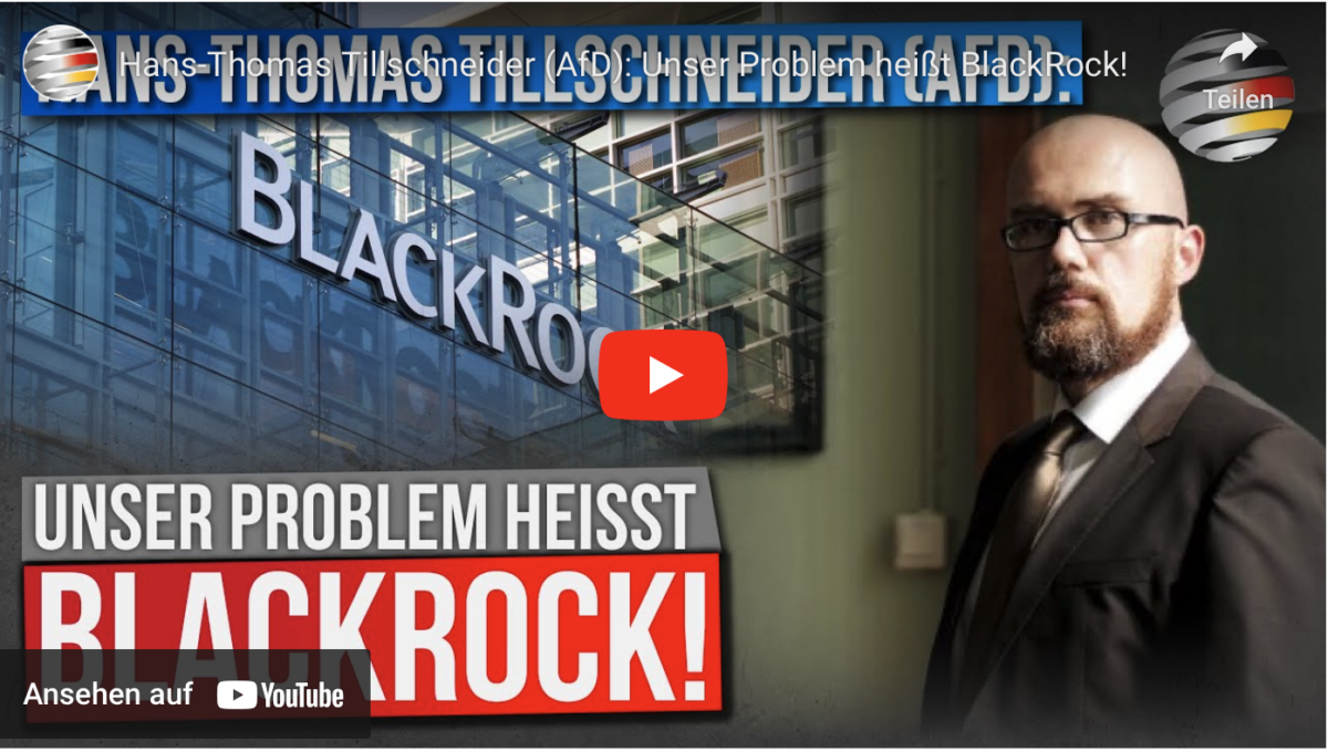 Hans-Thomas Tillschneider (AfD): Unser Problem heißt BlackRock!