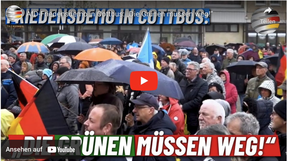 AfD-Friedensdemo in Cottbus: „Die Grünen müssen weg!“