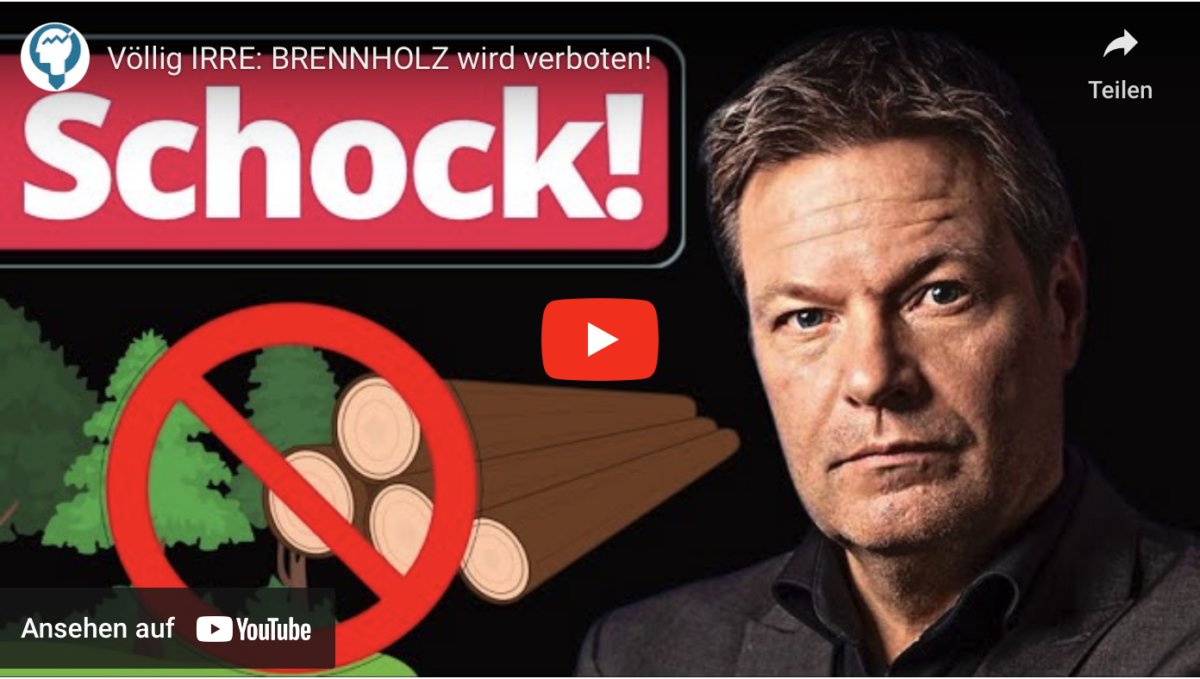 Völlig IRRE: BRENNHOLZ wird verboten!