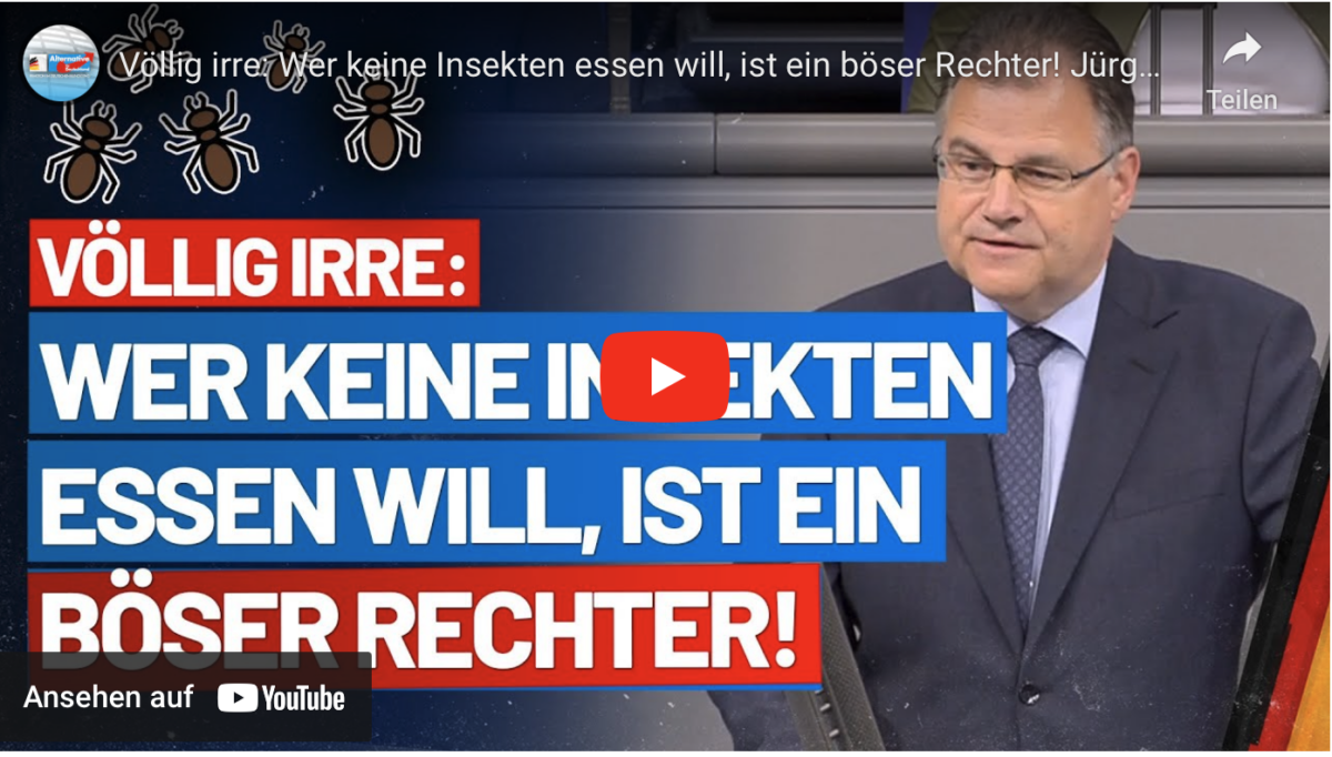 Völlig irre: Wer keine Insekten essen will, ist ein böser Rechter! Jürgen Braun- AfD-Fraktion BT