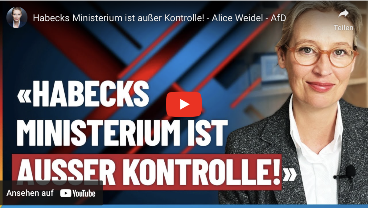 Heizungsmassaker: Habecks Ministerium ist außer Kontrolle! – Alice Weidel – AfD