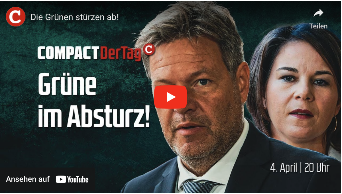 Die Grünen stürzen ab!