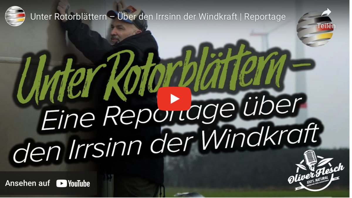 Unter Rotorblättern – Über den Irrsinn der Windkraft!