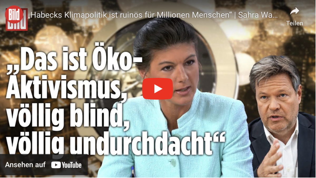 „Habecks Klimapolitik ist ruinös für Millionen Menschen“