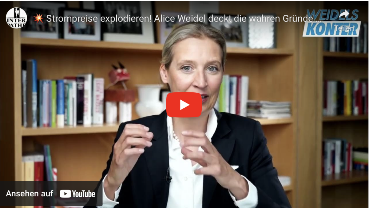 Strompreise explodieren! Alice Weidel deckt die wahren Gründe auf!