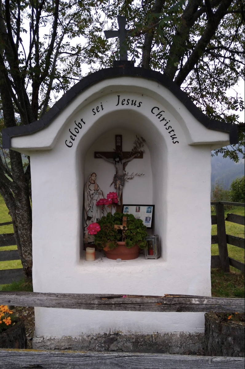 Achtung! Lesen! Auch bald bei uns: Milchprodukte, Fleisch, Gemüse – alles versetzt mit mRNA als „Schluckimpfung“!