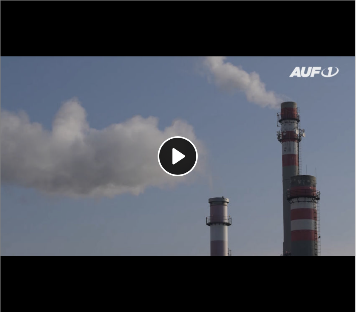 Einwanderung bringt CO2-Explosion: Warum schweigen die „Klima-Retter“ dazu?