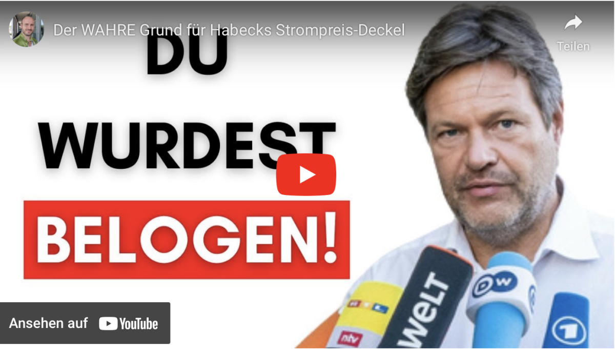 Der WAHRE Grund für Habecks Strompreis-Deckel