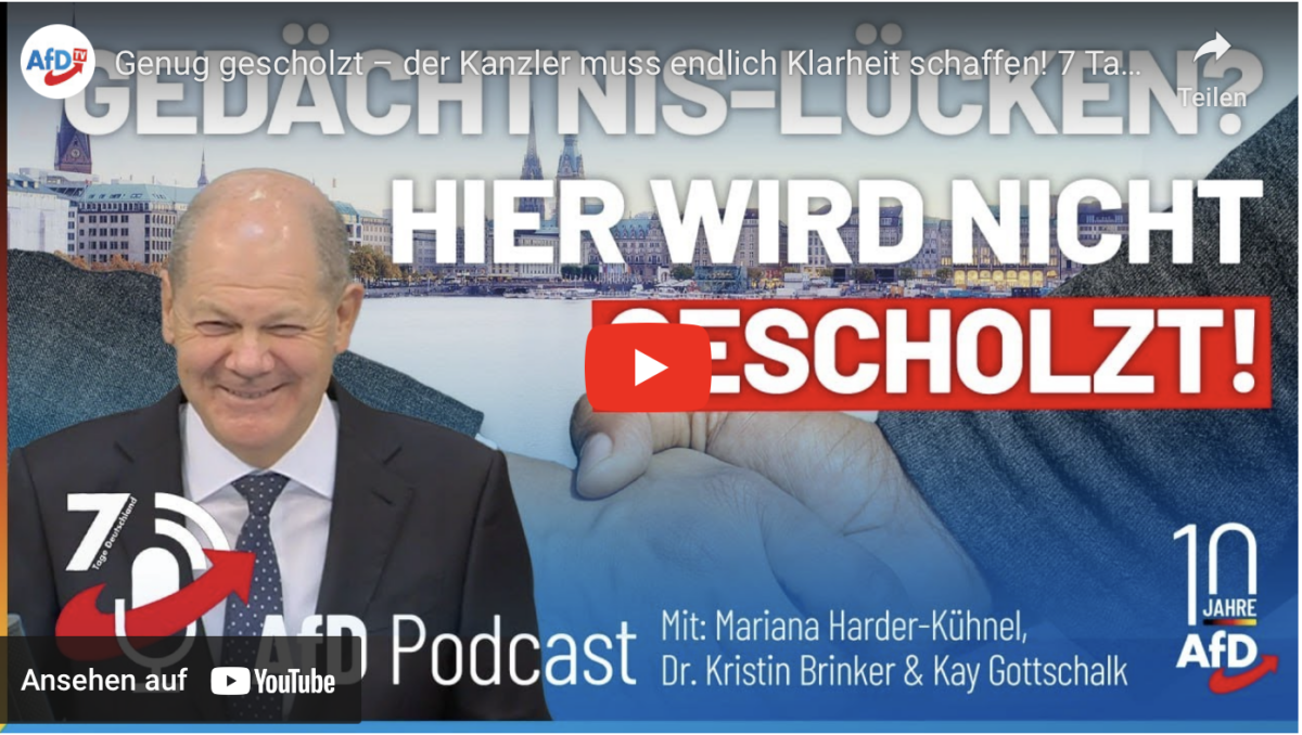Genug gescholzt – der Kanzler muss endlich Klarheit schaffen! 7 Tage Deutschland