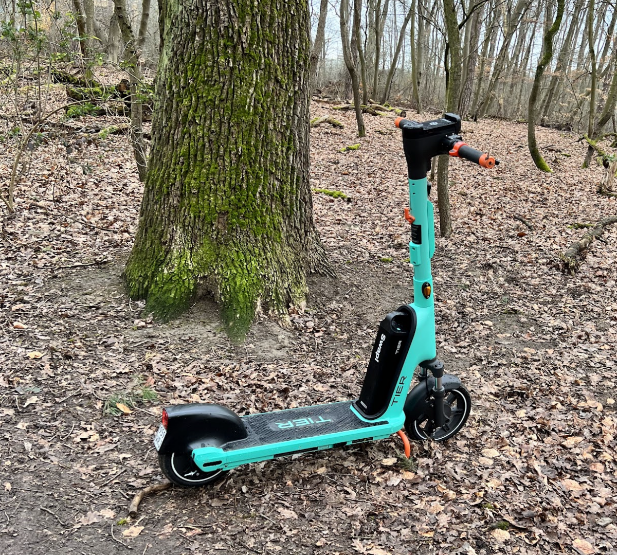 Oldenburg: 21-Jähriger fährt mit 1,83 Promille auf E-Scooter!