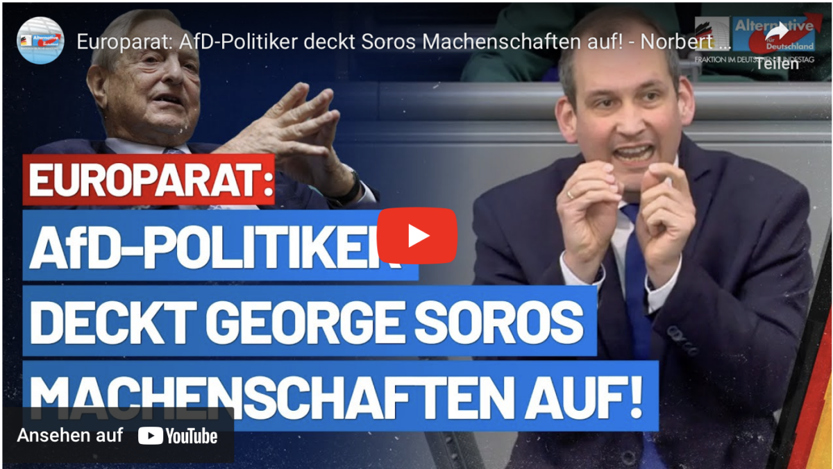 Europarat: AfD-Politiker deckt Soros Machenschaften auf!