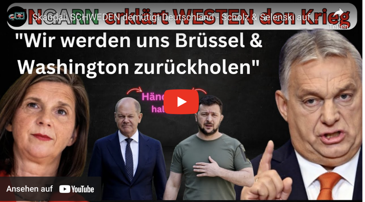 Skandal: SCHWEDEN demütigt Deutschland – Scholz & Selenski auf Augenhöhe