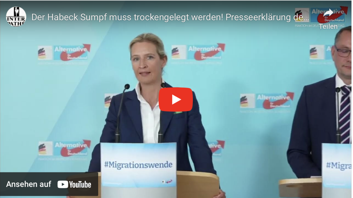 Der Habeck Sumpf muss trockengelegt werden! Presseerklärung der AfD Fraktion im Bundestag