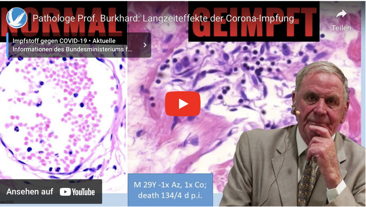 Pathologe Prof. Burkhard: Langzeiteffekte der Corona-Impfung