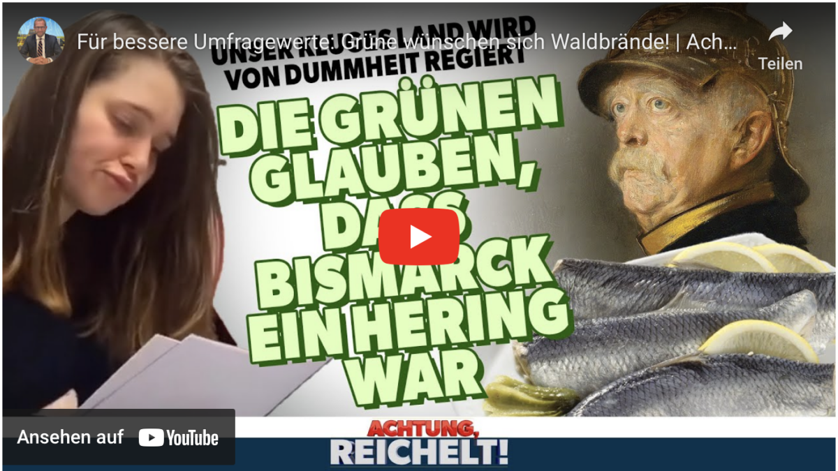 Für bessere Umfragewerte: Grüne wünschen sich Waldbrände!