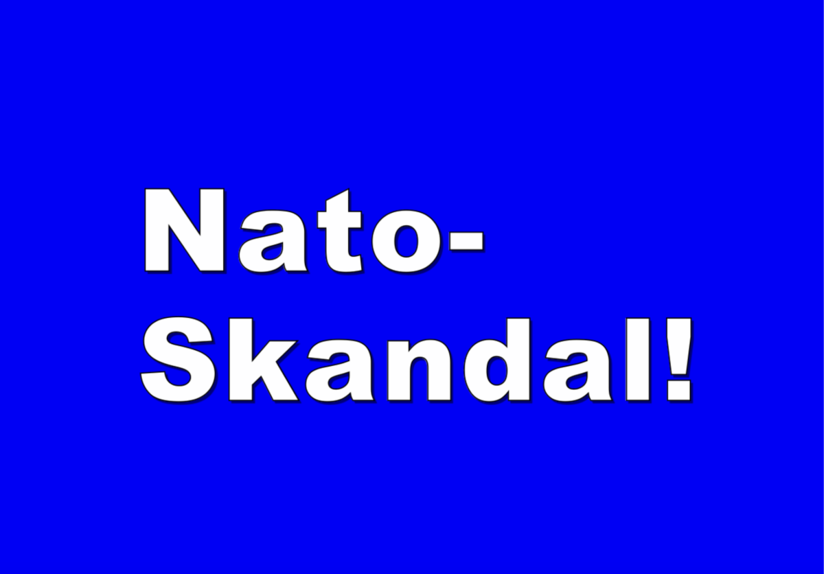 Deutschland zahlt 131 Millionen Euro für Stationierung von Nato-Soldaten!