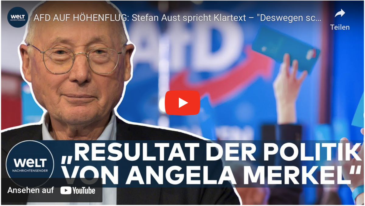 AFD AUF HÖHENFLUG: Stefan Aust spricht Klartext – „Deswegen schleimt die CDU hinter den Grünen her“