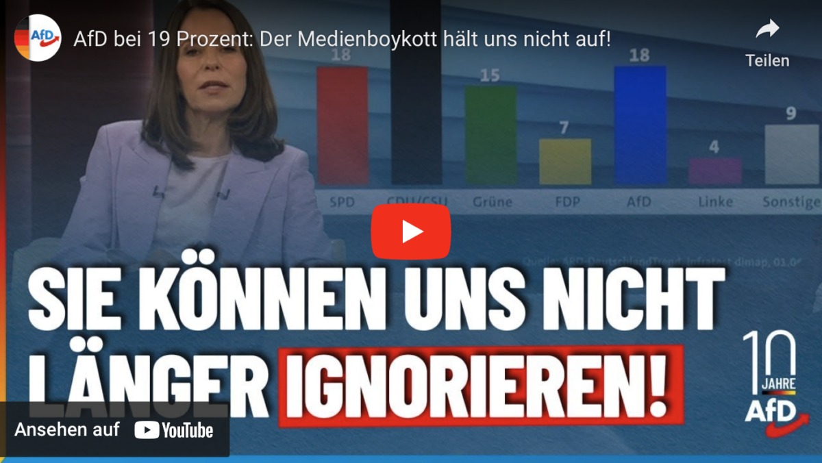 AfD bei 19 Prozent: Der Medienboykott hält uns nicht auf!