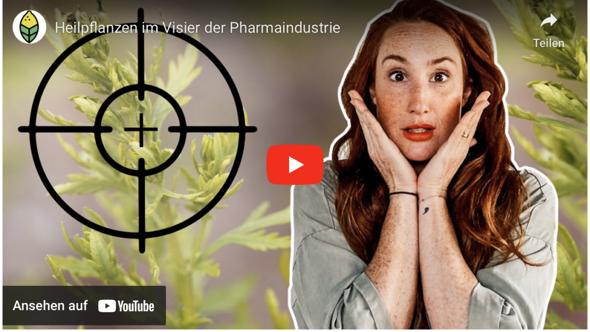 Heilpflanzen im Visier der Pharmaindustrie!