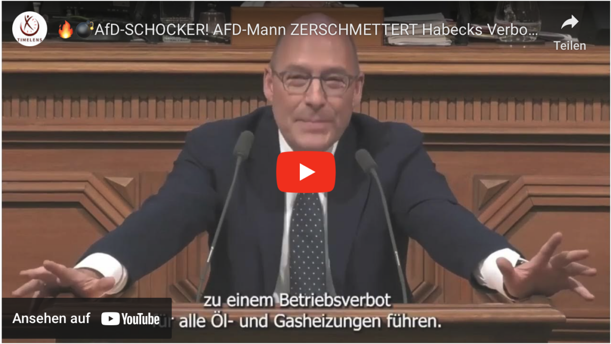 AfD-SCHOCKER! AFD-Mann ZERSCHMETTERT Habecks Verbote!