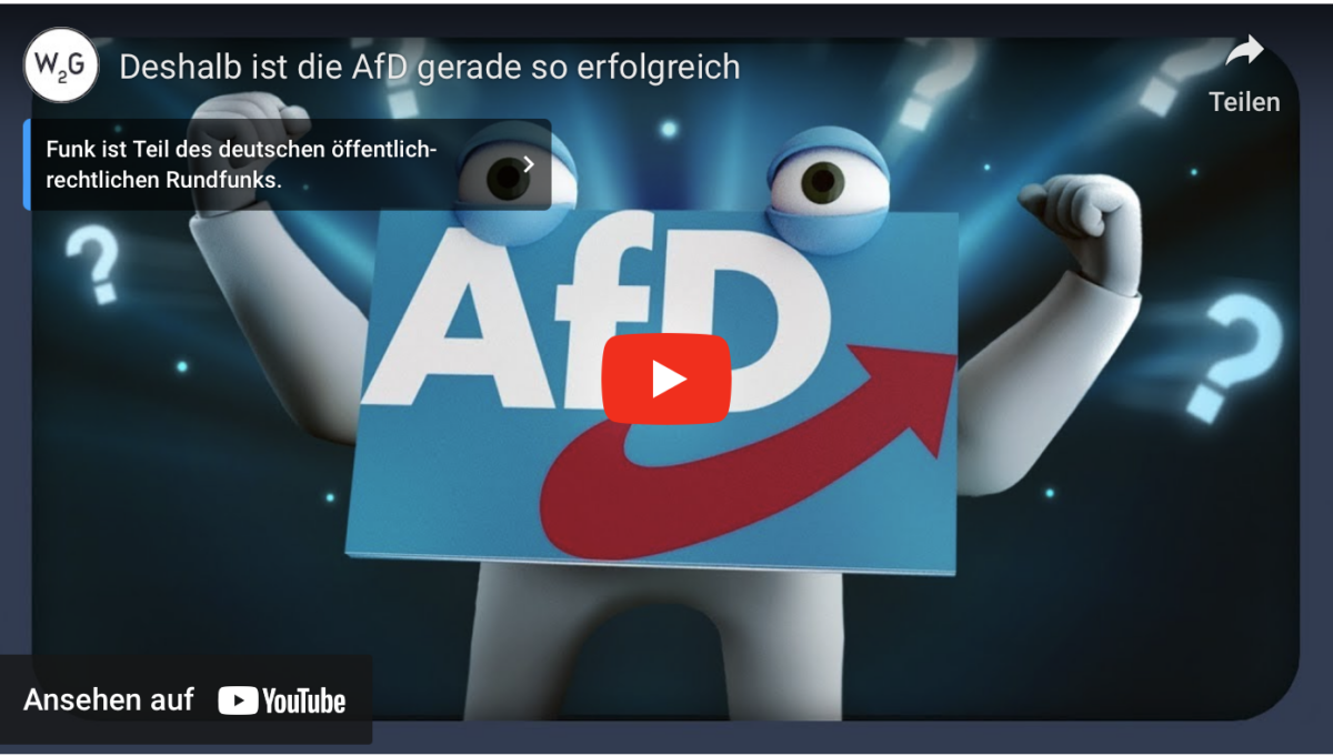 Deshalb ist die AfD gerade so erfolgreich!