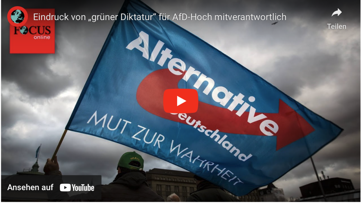 Eindruck von „grüner Diktatur“ für AfD-Hoch mitverantwortlich!