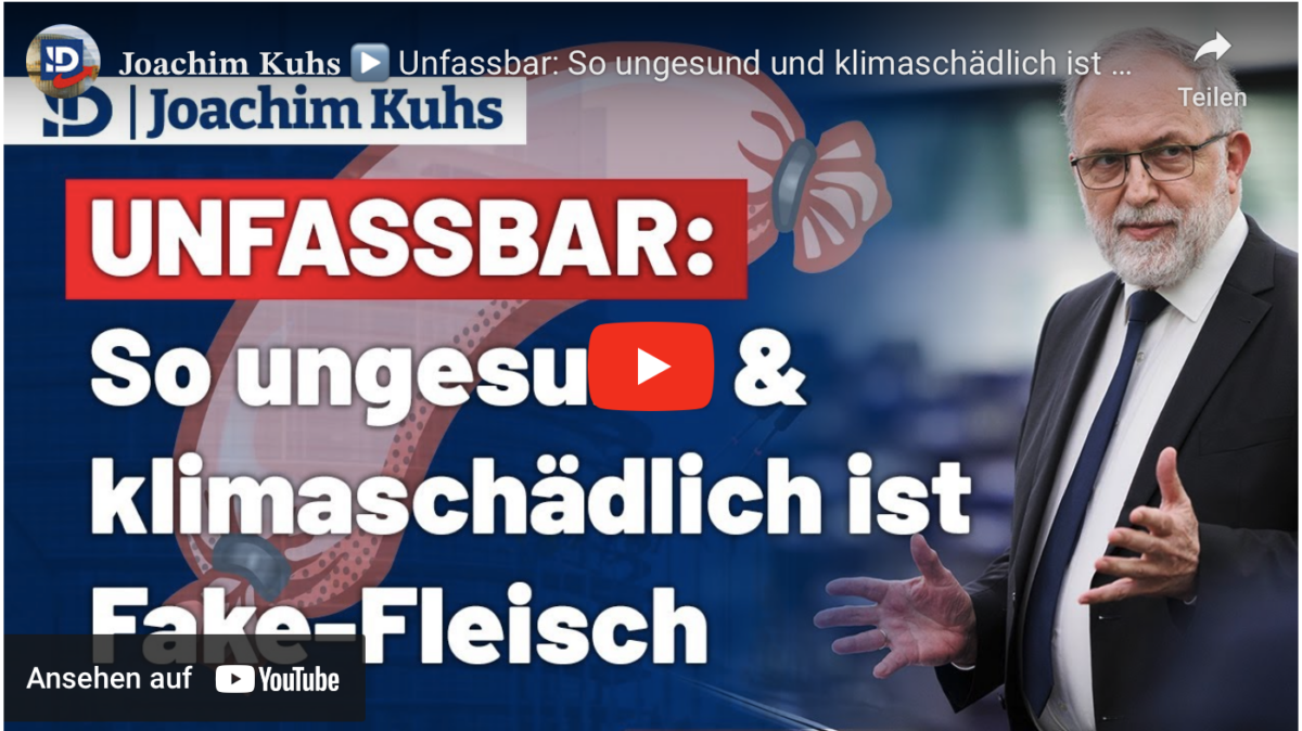 Unfassbar: So ungesund und klimaschädlich ist Fake-Fleisch!