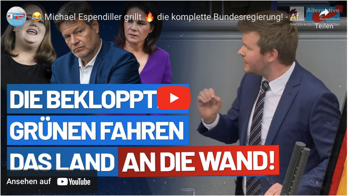 Die bekloppten Grünen fahren das Land an die Wand!