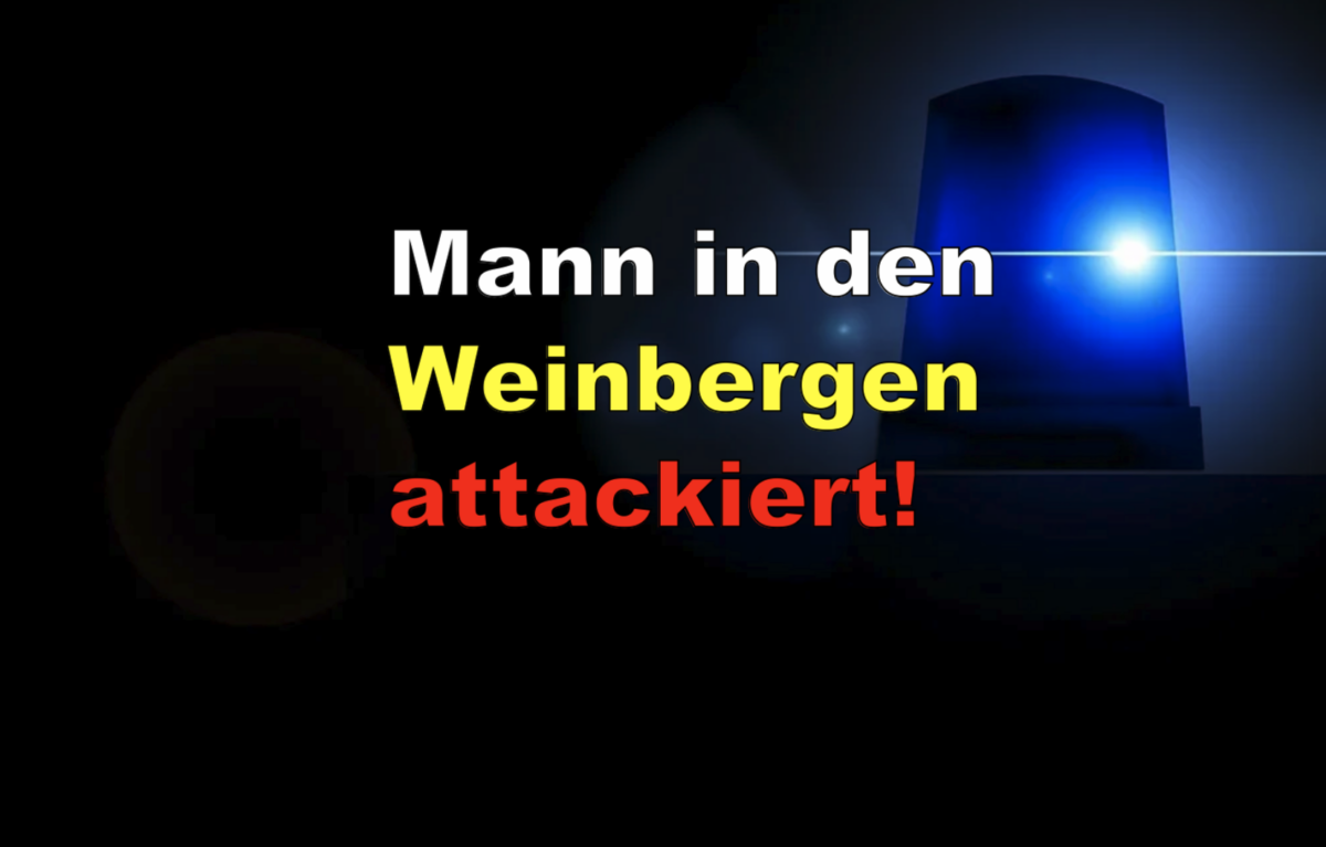 Hochheim: Mann in den Weinbergen attackiert!