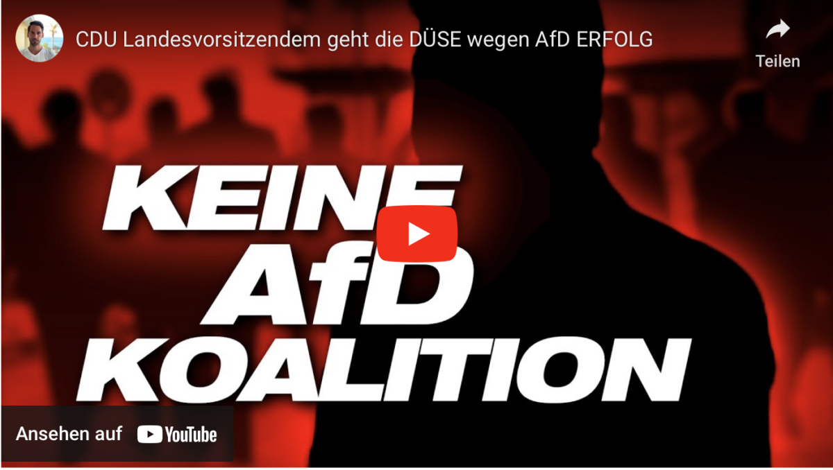 CDU Landesvorsitzendem geht die DÜSE wegen AfD ERFOLG
