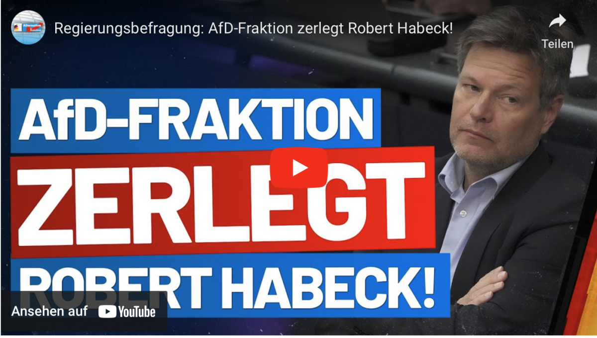 Regierungsbefragung: AfD-Fraktion zerlegt Robert Habeck!