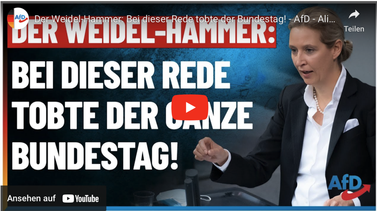 Der Weidel-Hammer: Bei dieser Rede tobte der Bundestag!