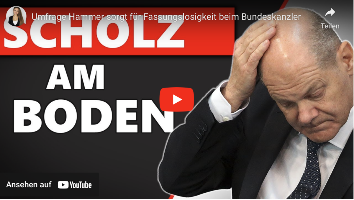 Umfrage Hammer sorgt für Fassungslosigkeit beim Bundeskanzler
