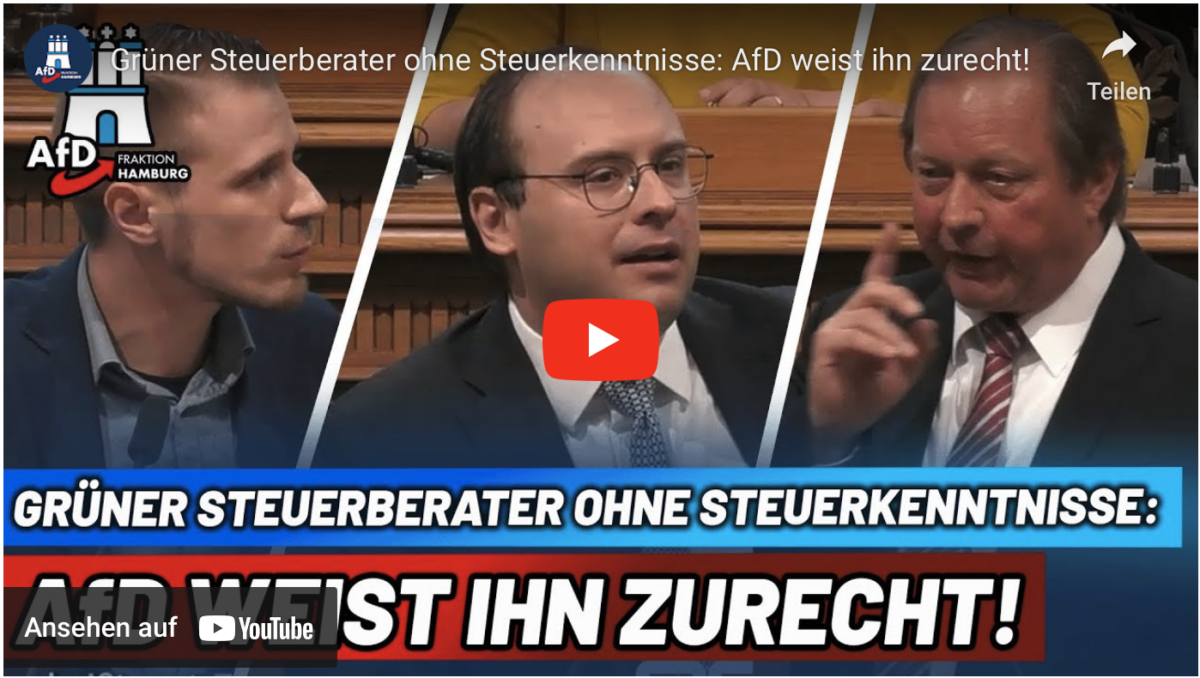 Grüner Steuerberater ohne Steuerkenntnisse: AfD weist ihn zurecht!