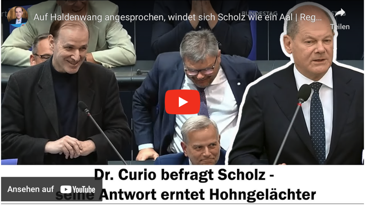 Auf Haldenwang angesprochen, windet sich Scholz wie ein Aal | Regierungsbefragung