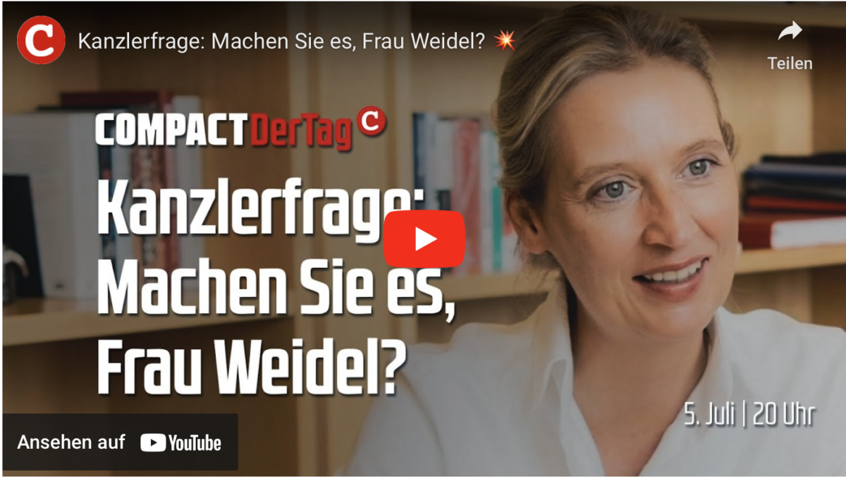 Kanzlerfrage: Machen Sie es, Frau Weidel?
