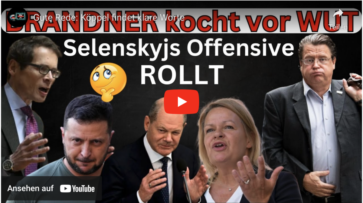 Gute Rede: Köppel findet klare Worte!