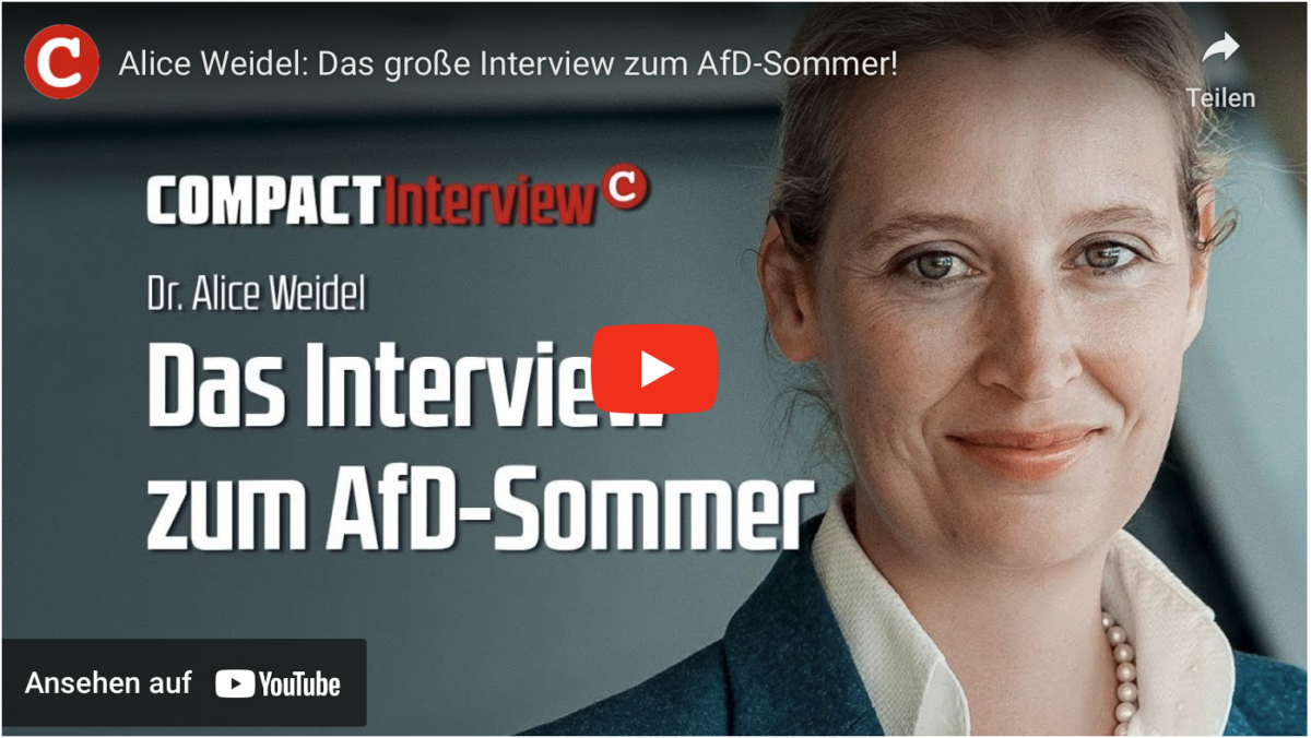 Alice Weidel: Das große Interview zum AfD-Sommer!
